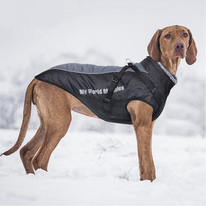Warm Waterproof Reflective Pet Shell Jacket: The Ultimate Protection for Your Furry Friends