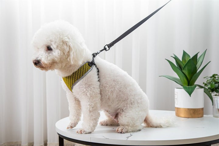 The Ultimate Pet Walking Harness: Comfort Meets Control