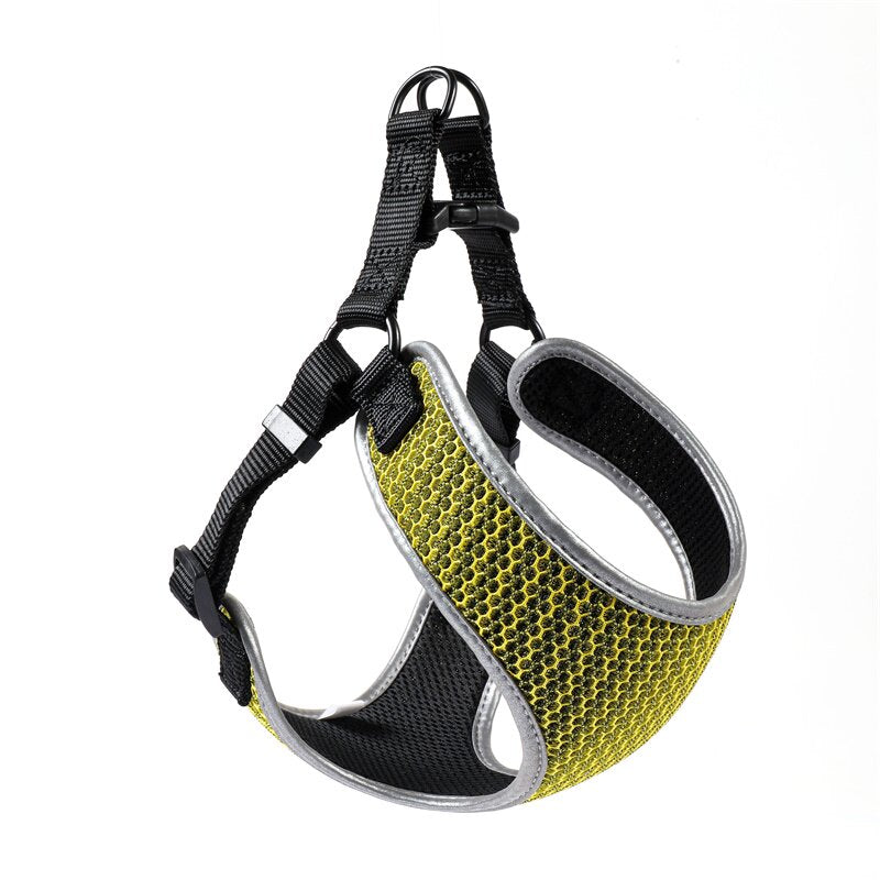 Pet Walking Harness
