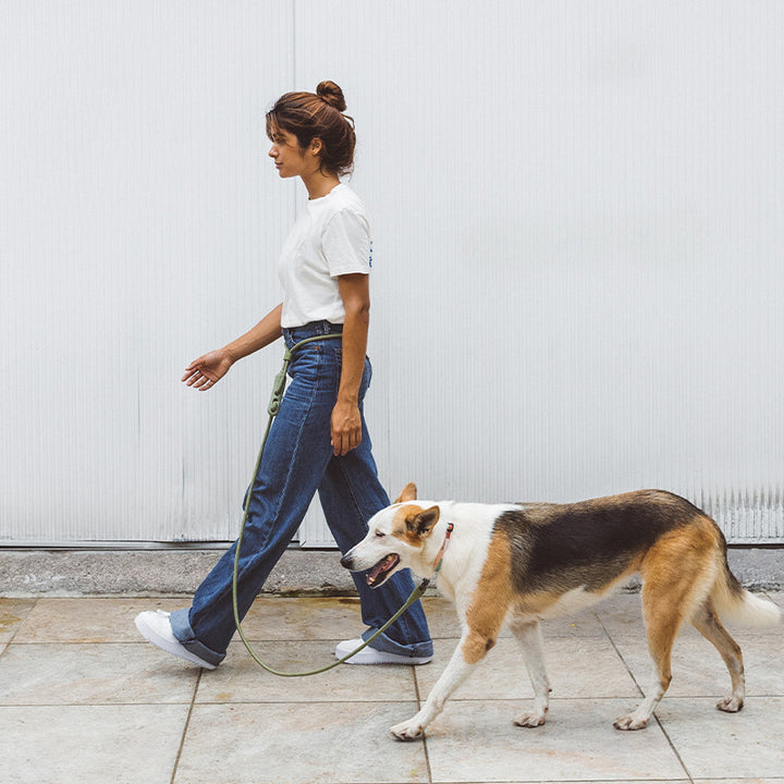 Pet Fashion Slant Leash