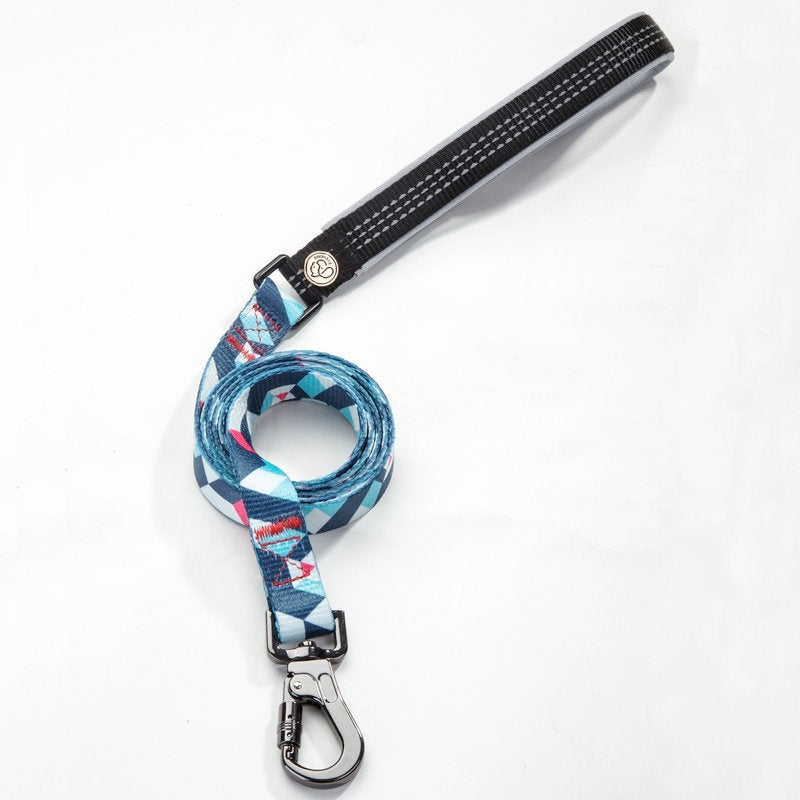 Pet Walking Leash