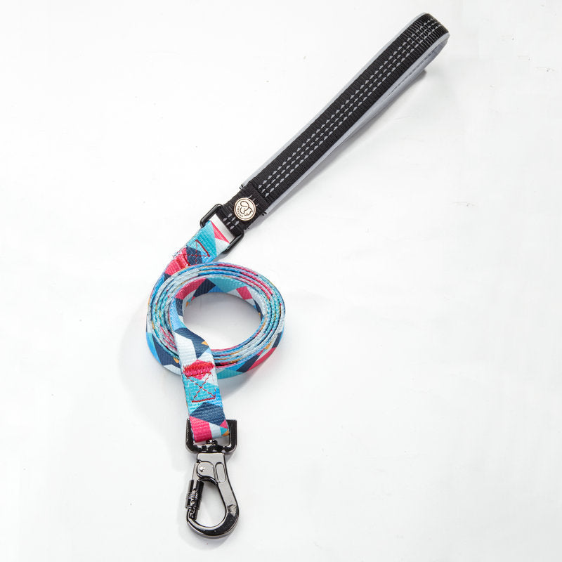 Pet Walking Leash