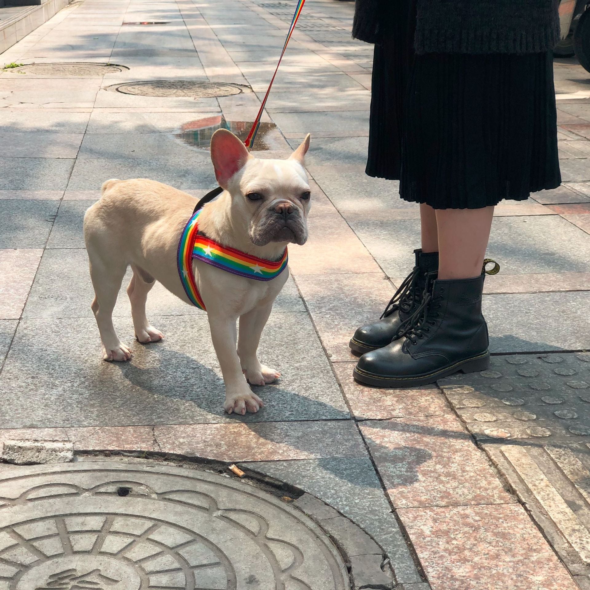 Rainbow Pet Chain Leash