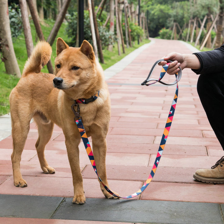 Pet Walking Leash
