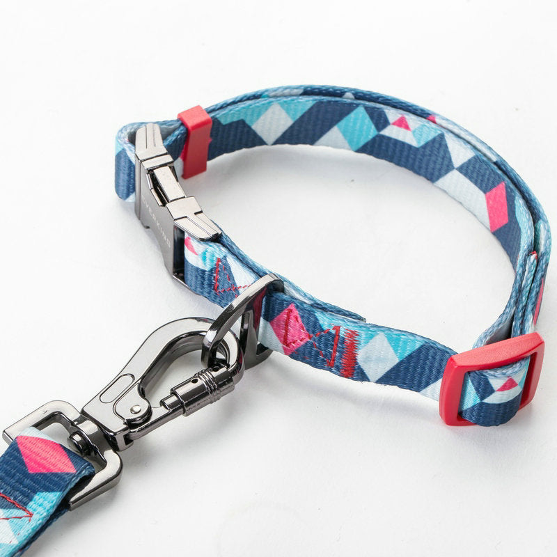 Pet Walking Leash
