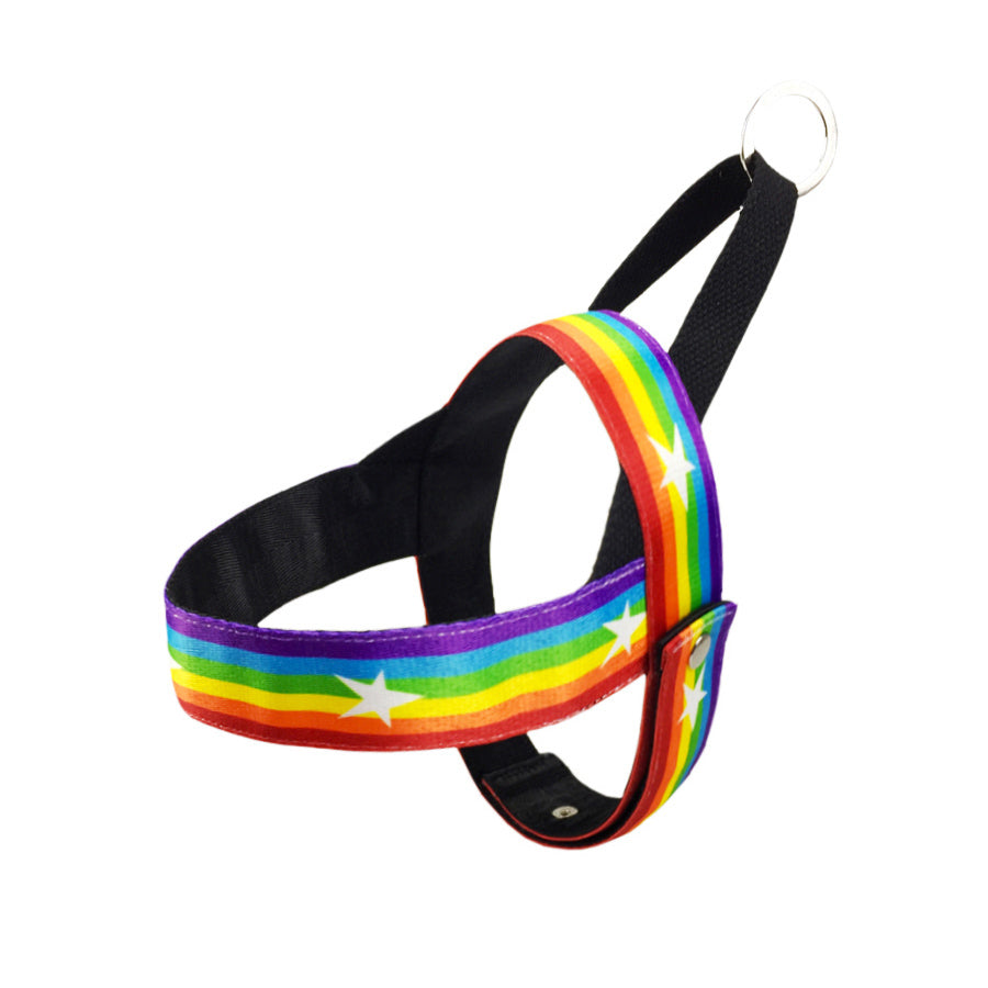 Rainbow Pet Chain Leash