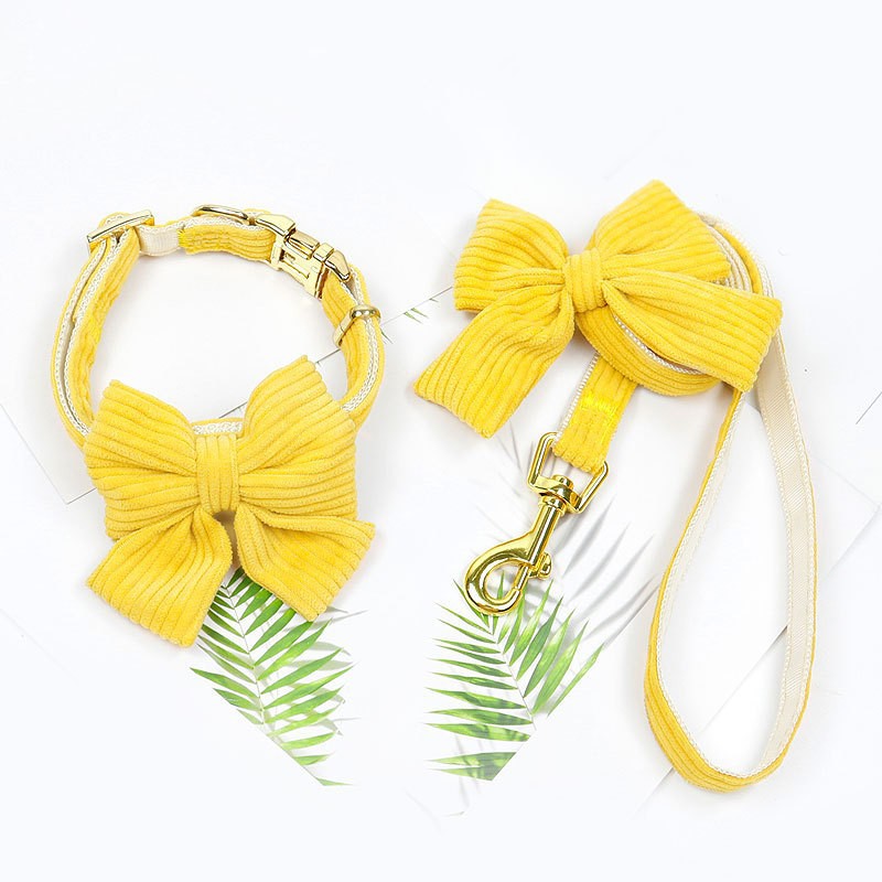 Pet Outdoor Leash and Harness 