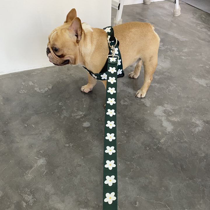 Pet Adult Vest Style Leash