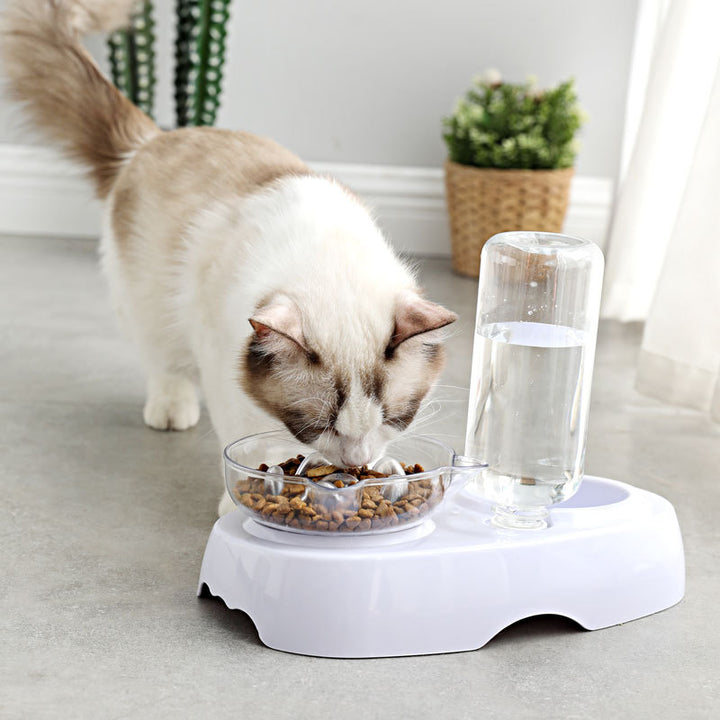 Transparent Plastic Pet Feeding Bowl