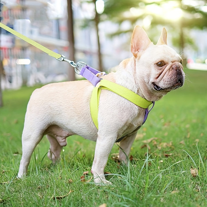 Rainbow Colorblock Pet Harness Vest Leash