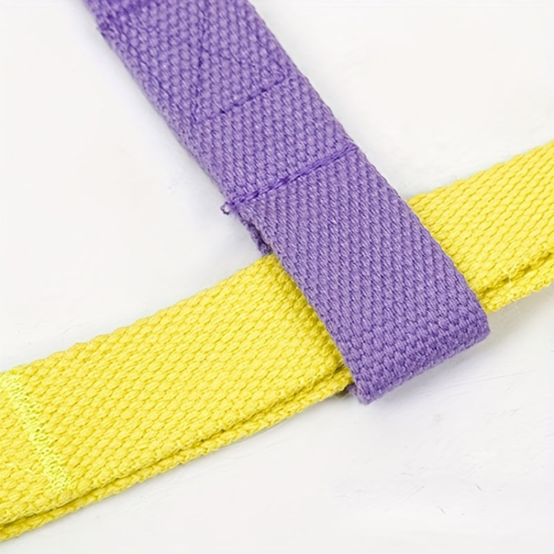 Rainbow Colorblock Pet Harness Vest Leash