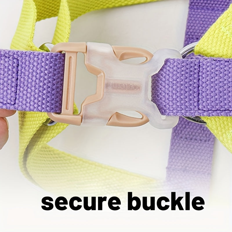Rainbow Colorblock Pet Harness Vest Leash