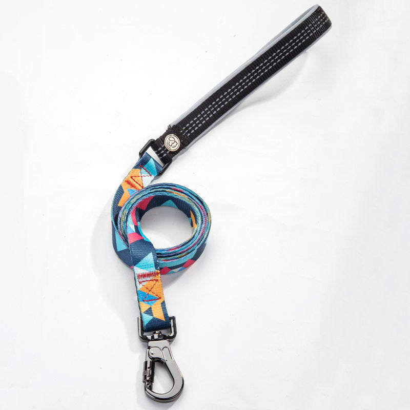 Pet Walking Leash