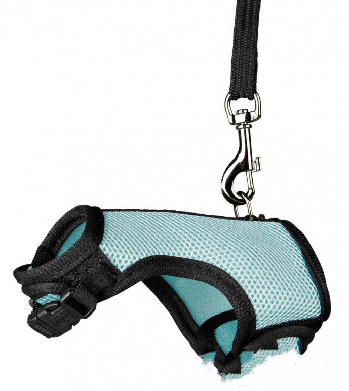 adjustable leash for small pets in light blue mesh with metal clip for secure attachment
