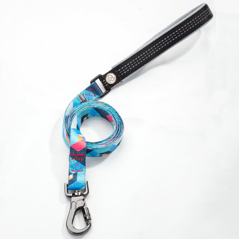 Pet Walking Leash