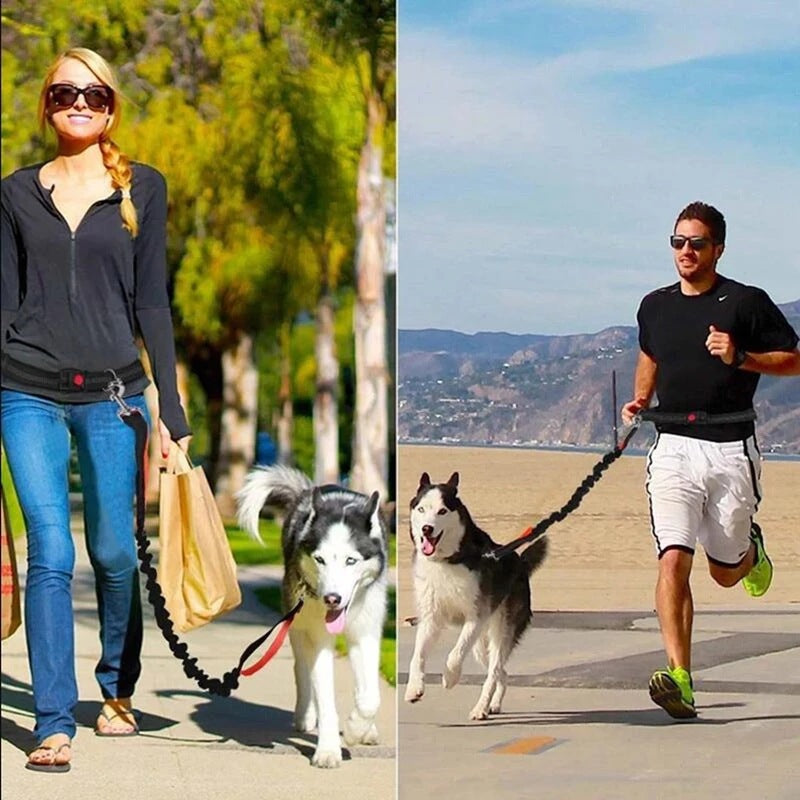 Adjustable Pet Harness Collar Leash