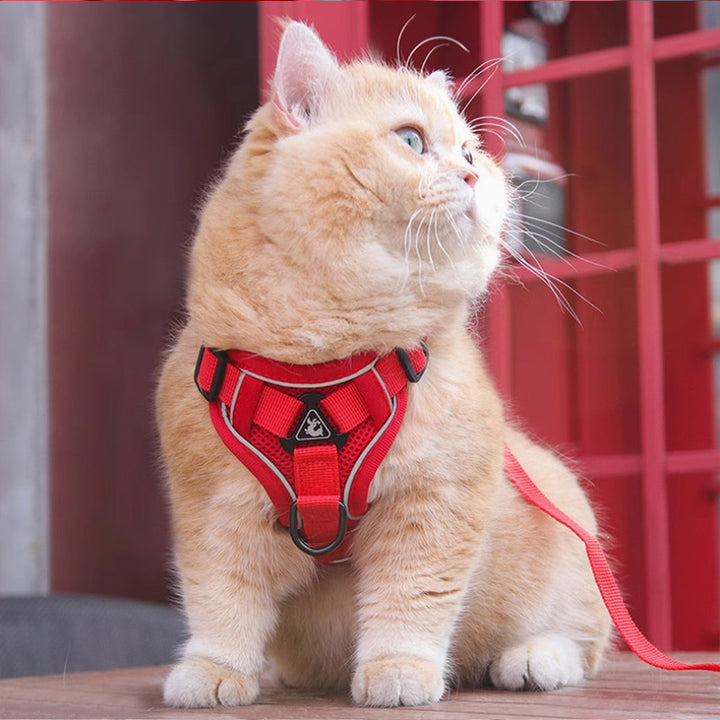 New Pet Harness Vest Chest Strap With Leash 