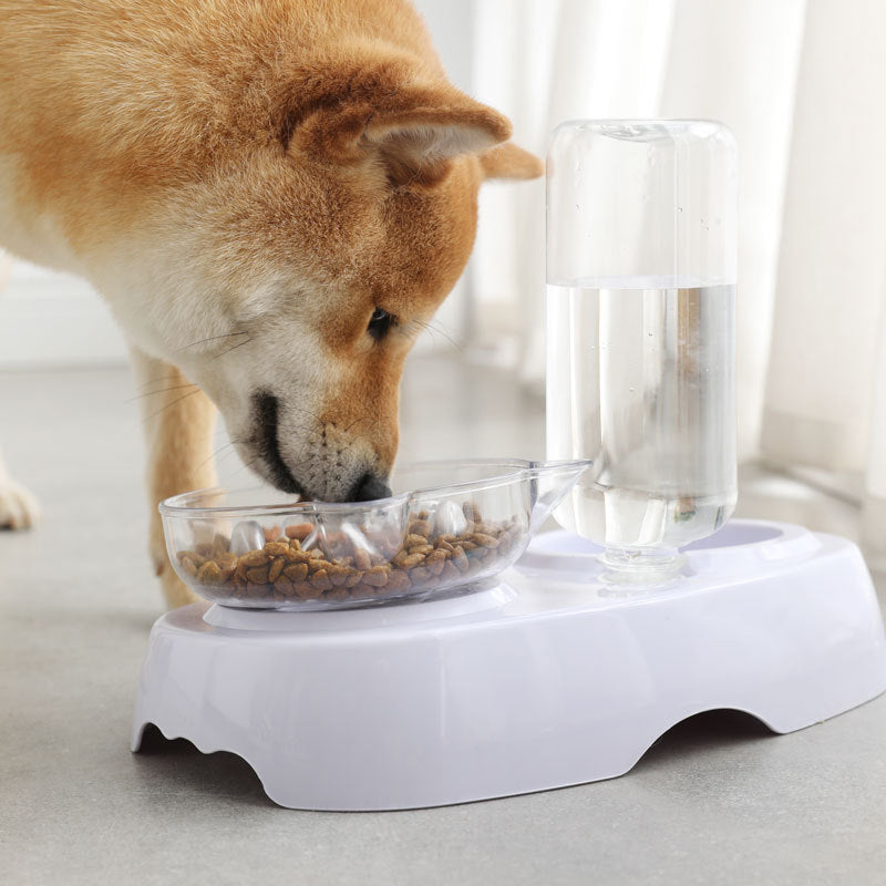 Transparent Plastic Pet Feeding Bowl