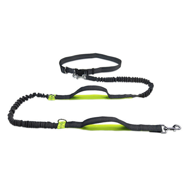 Adjustable Pet Harness Collar Leash