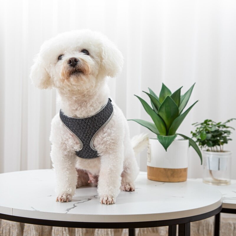 Pet Walking Harness