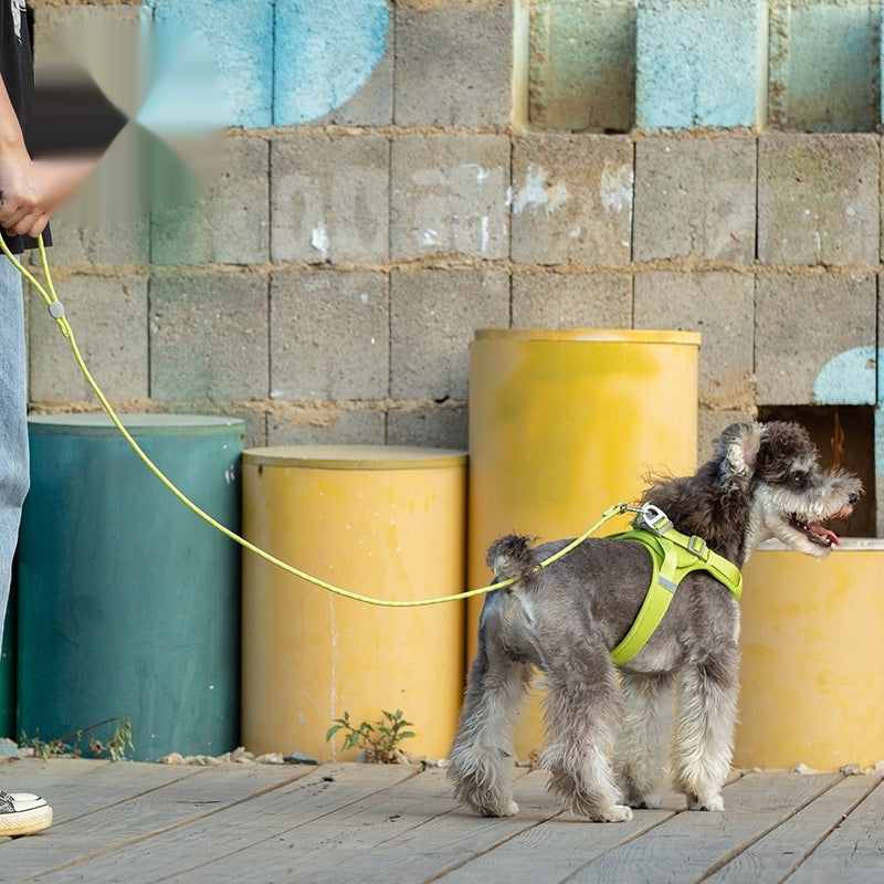 Person walking a dog with an adjustable colorful pet leash in vibrant colors, including a lime green harness.