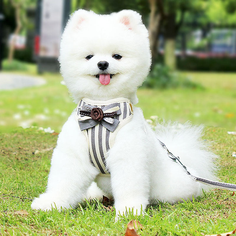 New Pet Chest Strap Vest Leash
