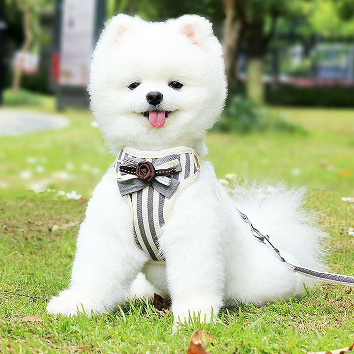 New Pet Chest Strap Vest Leash