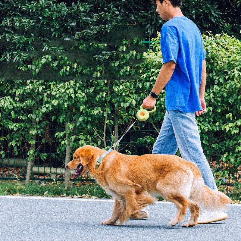 Retractable Pet Leash Reflective Walking Rope