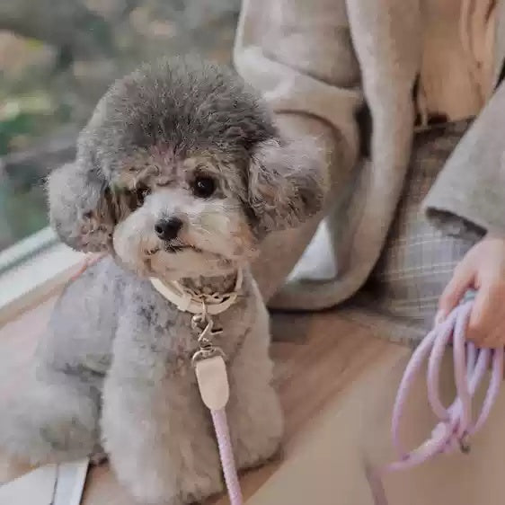 Leather Pet Collar Handheld Leash