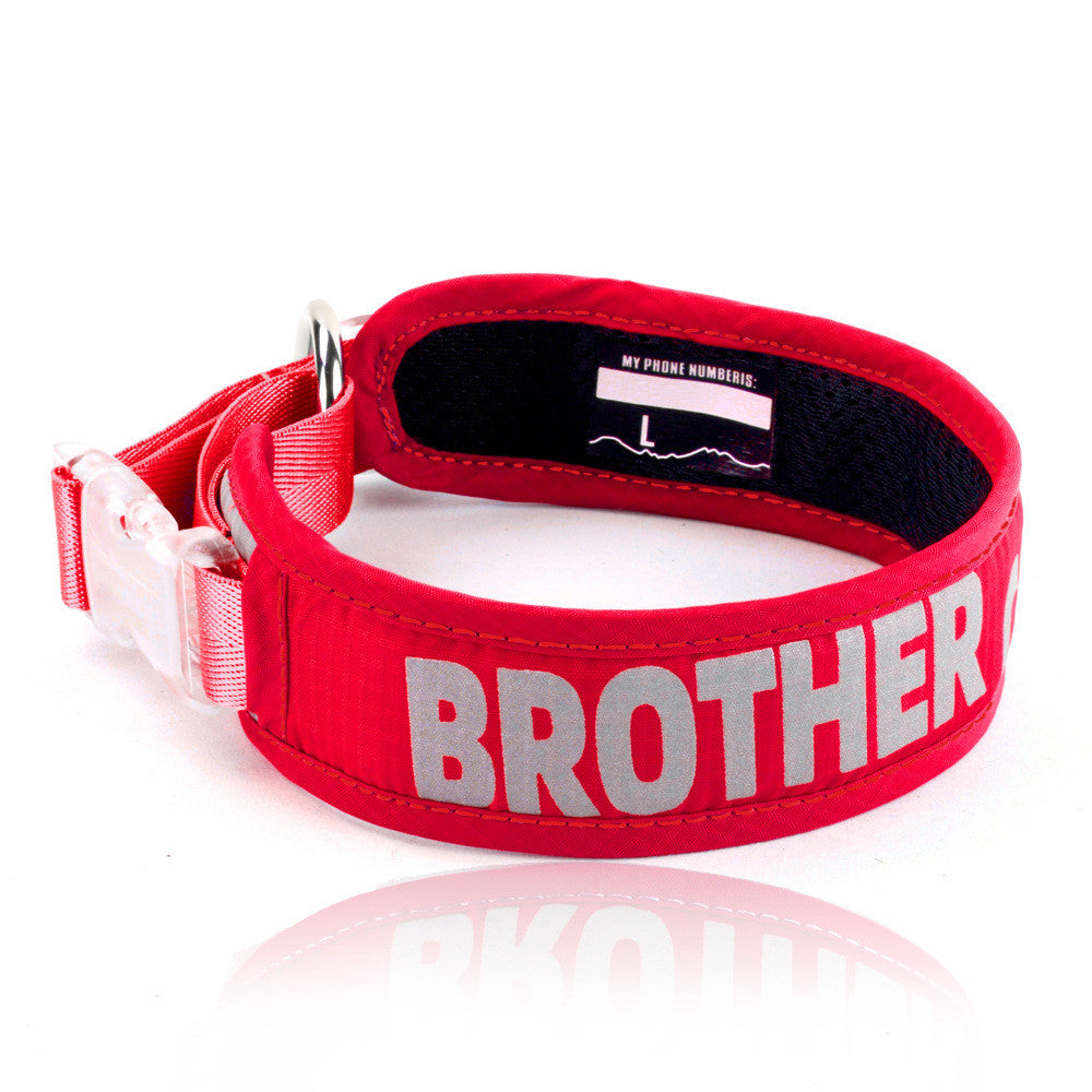Explosion Proof Pet Chest Strap Leash with Storage Bag