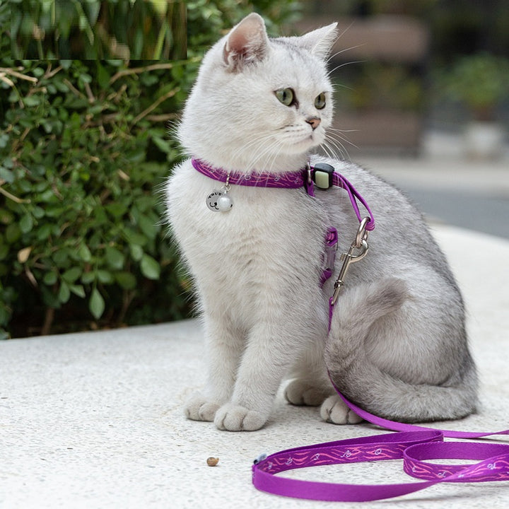 Pet Bell Chest Strap Vest Leash