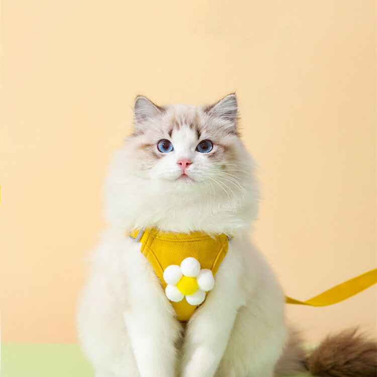 Anti-Breakaway Pet Chest Harness Leash