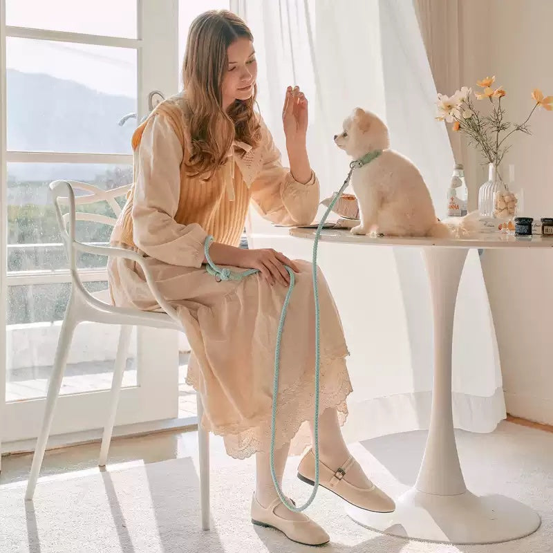 Leather Pet Collar Handheld Leash