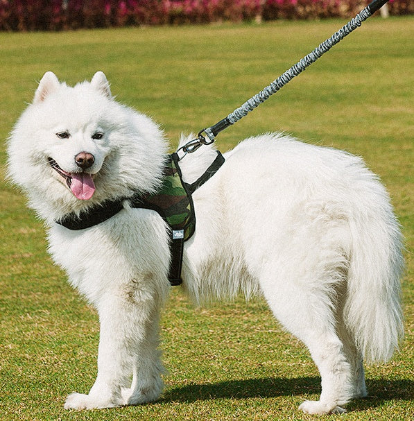 Pet Chest Harness Leash Comfortable Walking Accessory
