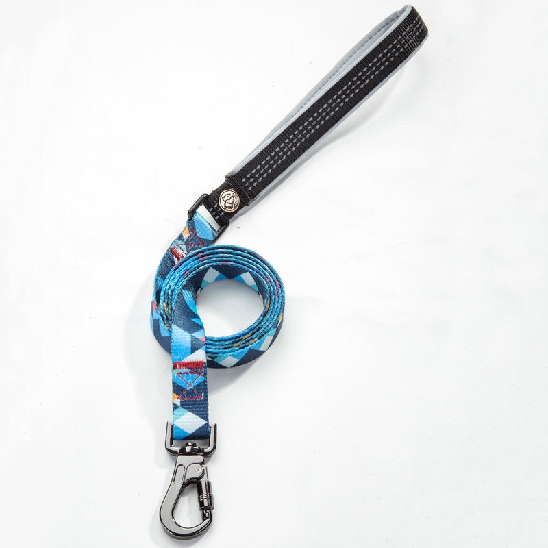 Pet Walking Leash