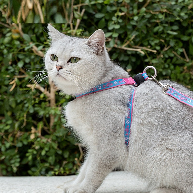 Pet Bell Chest Strap Vest Leash