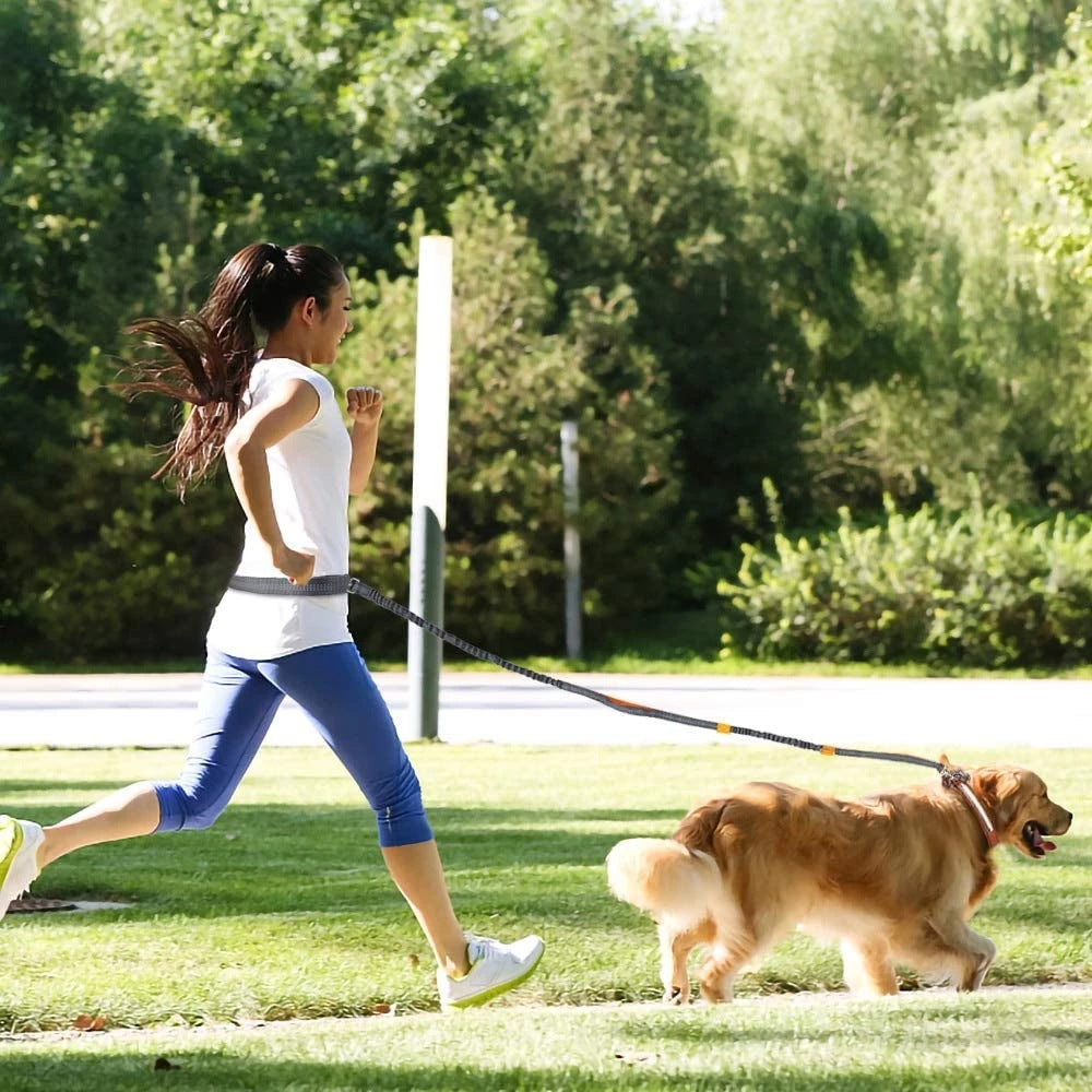 Adjustable Pet Harness Collar Leash