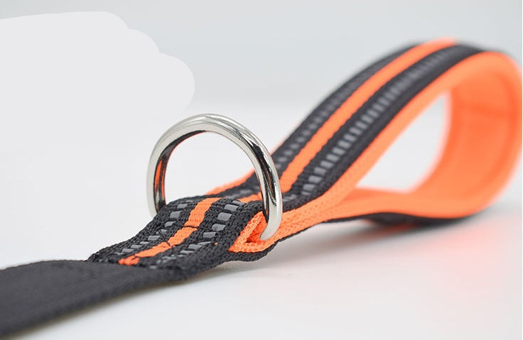 Nylon Retractable Pet Leash