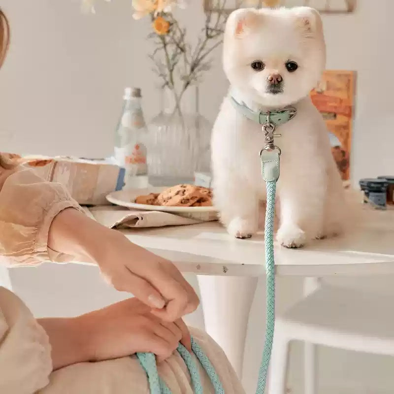 Leather Pet Collar Handheld Leash