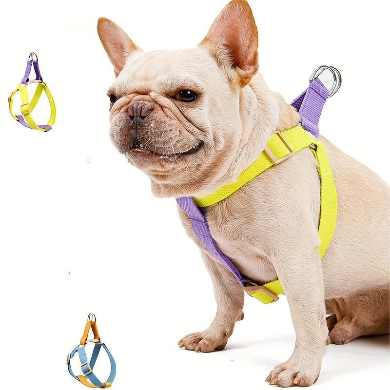 Rainbow Colorblock Pet Harness Vest Leash