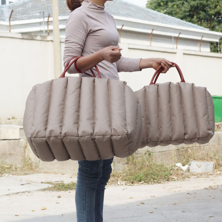 Portable Pet Carrier