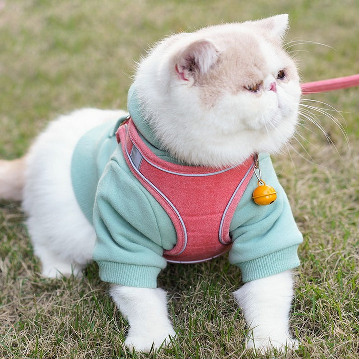 Pet Vest Chest Harness Walking Leash