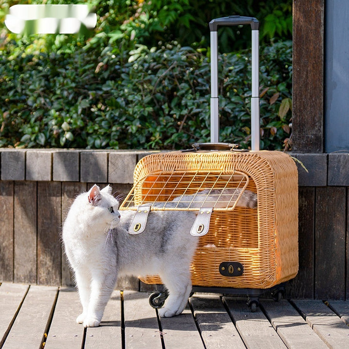 Woven Rattan Pet Carrier