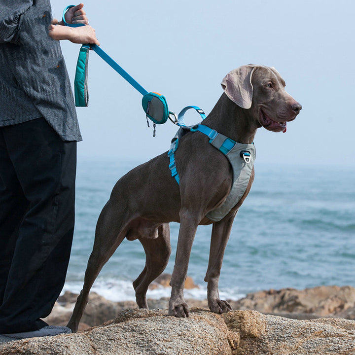Explosion Proof Pet Chest Strap Leash with Storage Bag
