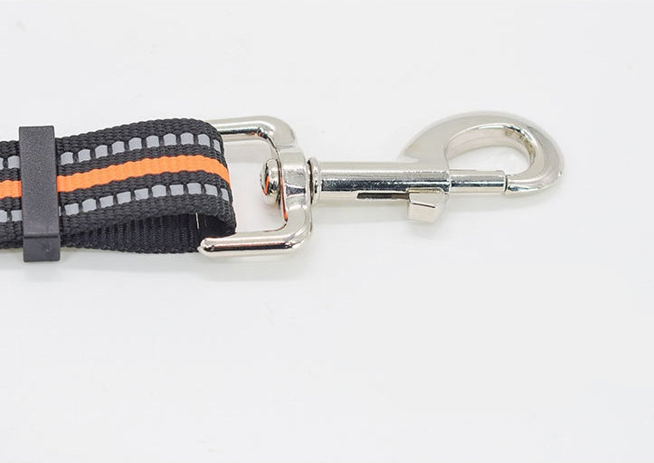 Nylon Retractable Pet Leash