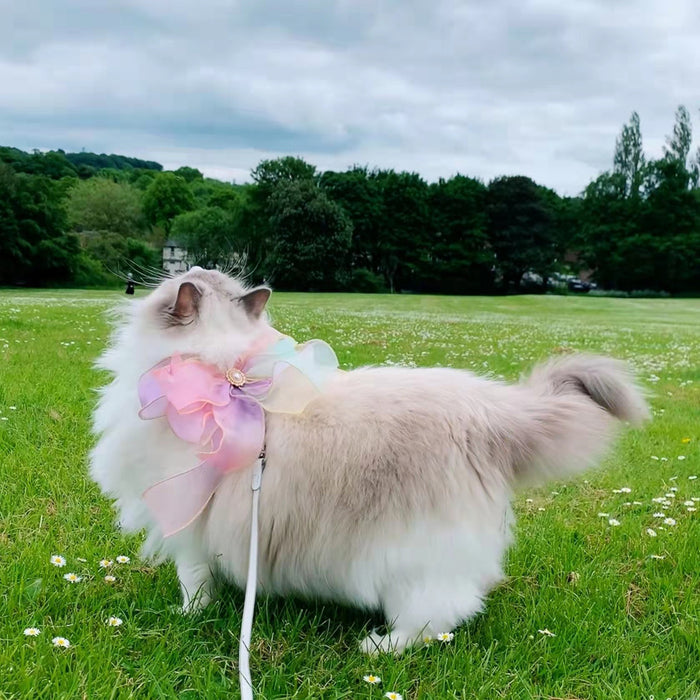 Pet Leashes