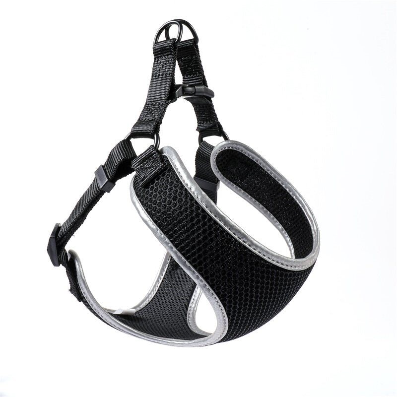 Pet Walking Harness