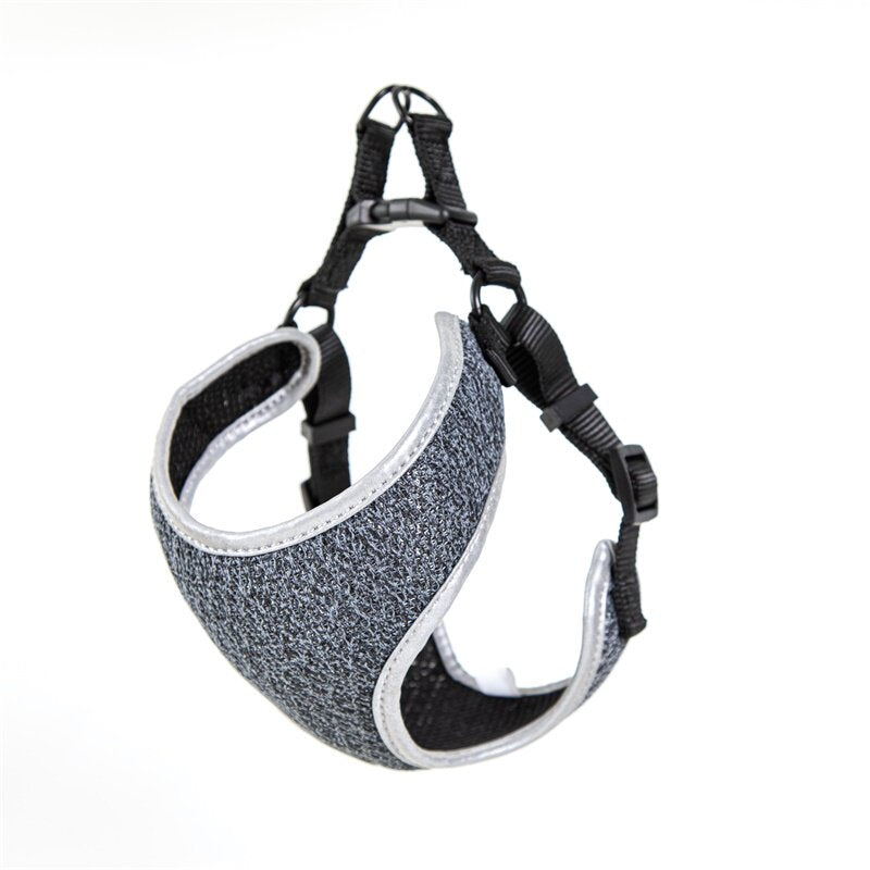 Pet Walking Harness