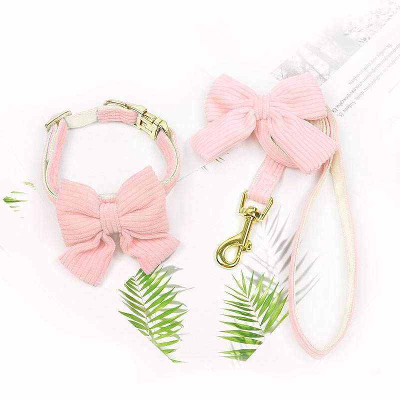 Pet Outdoor Leash and Harness 