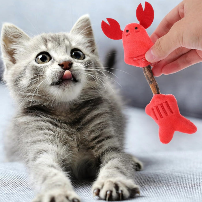 Pet Toys